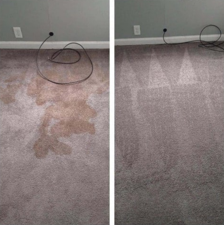 Transforming Spaces: The Benefits of Green Carpet Cleaning and Professional Company Carpet Cleaning Services