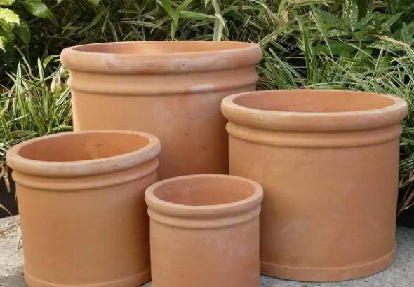 Are Terracotta Pots Good for Plants?