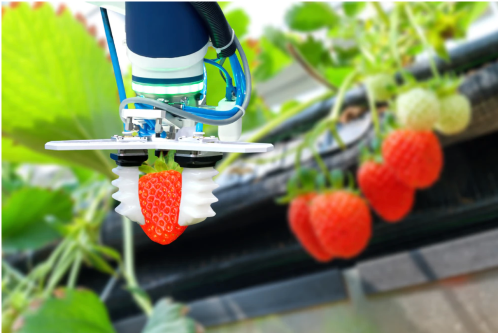 Smart Packaging Machines Transform Modern Food Production Systems