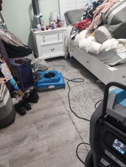 Complete answers to problems with mold and water damage